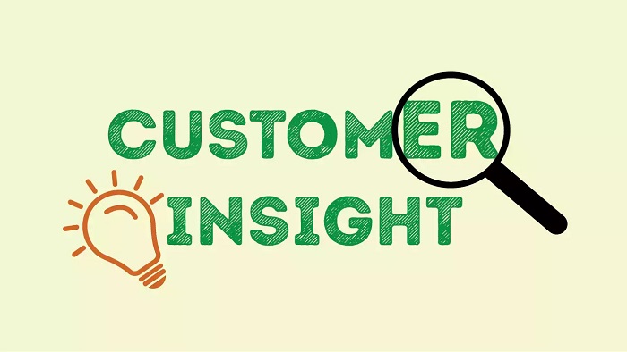 customer-insight-la-gi-1