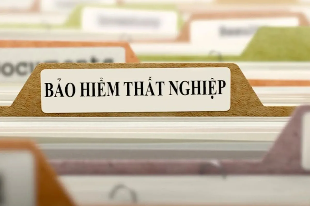 lam bao hiem that nghiep o dau cach nhan tro cap moi nhat