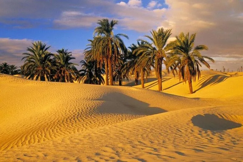 Sa mạc Sahara ở đâu