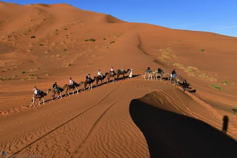 Sa mạc Sahara ở đâu